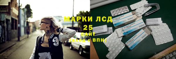 ПСИЛОЦИБИНОВЫЕ ГРИБЫ Белоозёрский