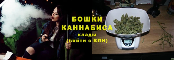 ПСИЛОЦИБИНОВЫЕ ГРИБЫ Белоозёрский