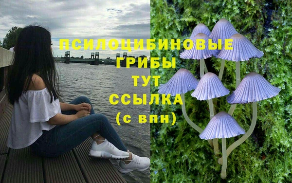 ПСИЛОЦИБИНОВЫЕ ГРИБЫ Белоозёрский