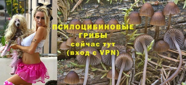ПСИЛОЦИБИНОВЫЕ ГРИБЫ Белоозёрский