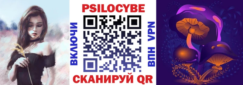 Псилоцибиновые грибы Cubensis  Мглин 